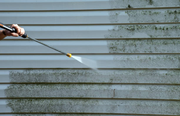 Best Sidewalk and Walkway Cleaning  in Saginaw, TX